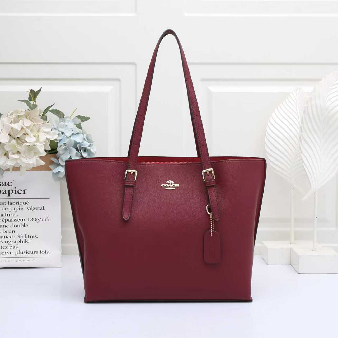 COACH Mollie Tote Bag in Signature Canvas (with Zipper Pouch)