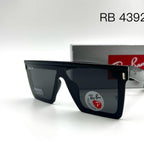 Ray-Ban Shield Sunglasses